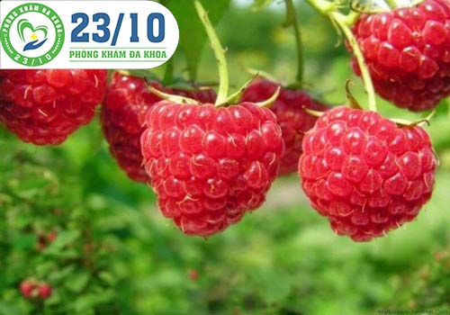 Quả mâm xôi tươi rất tốt cho quý ông bị liệt dương.