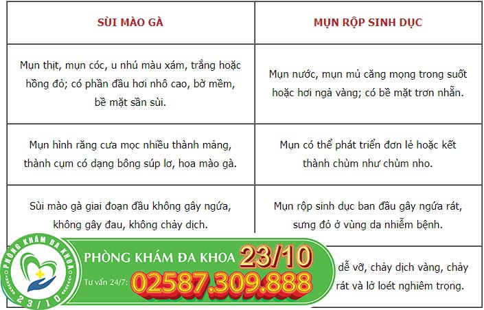 sui mao ga va mun rop sinh duc co lay khong