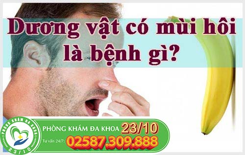 Dương vật có mùi là bị bệnh gì? Dương vật có mùi là bị bệnh gì?
